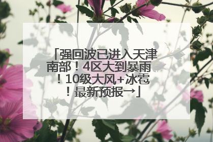 强回波已进入天津南部！4区大到暴雨！10级大风+冰雹！最新预报→